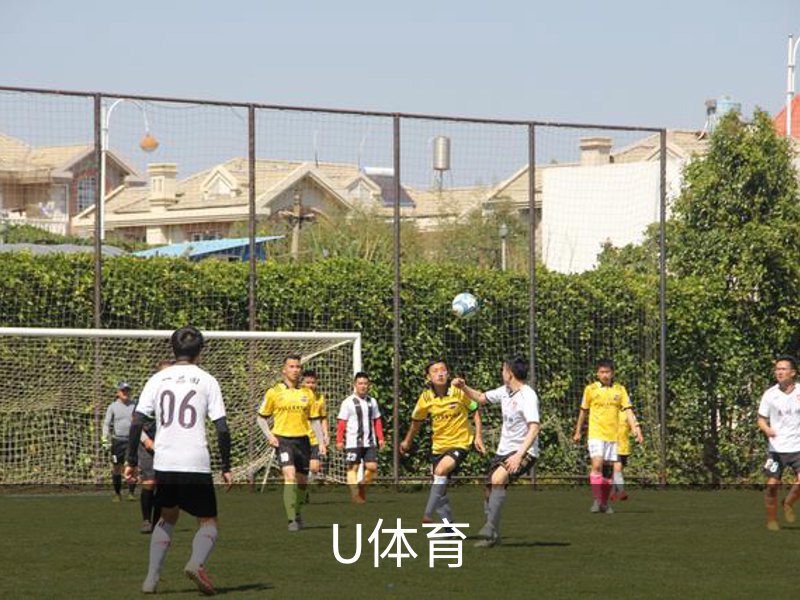U体育介绍